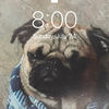 dustin_h2641